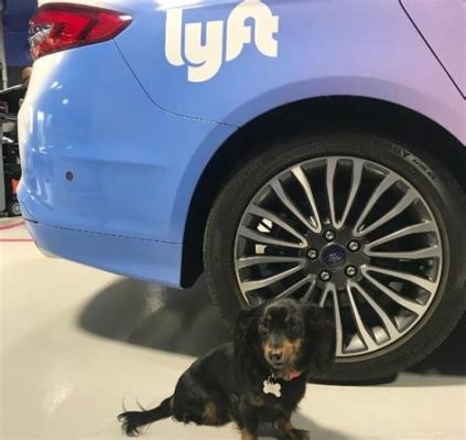 does lyft have a pet option? how about integrating pets into the ride-sharing experience?