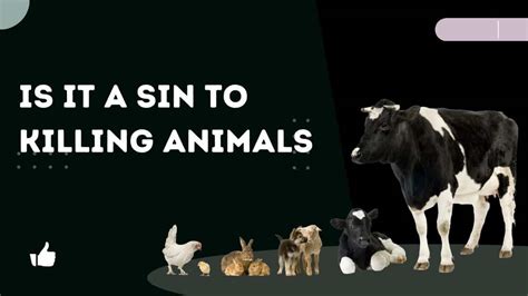 is killing an animal a sin, and does it vary across cultures and religious beliefs?